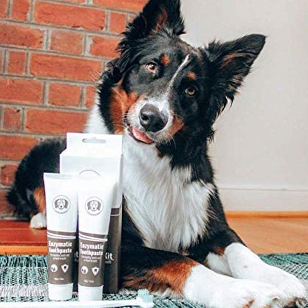 Freshbarks Dog Dental Kit | Two Tubes of The Best Enzymatic Dog Toothpaste and One Specially Designed Double Headed Dog Toothbrush | Clean Away Tartar and Plaque and Prevent Dental Infections: Health & Personal Care