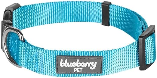 Blueberry Pet Essentials 20+ Colors Classic Dog Collars