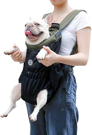 dog front facing carrier