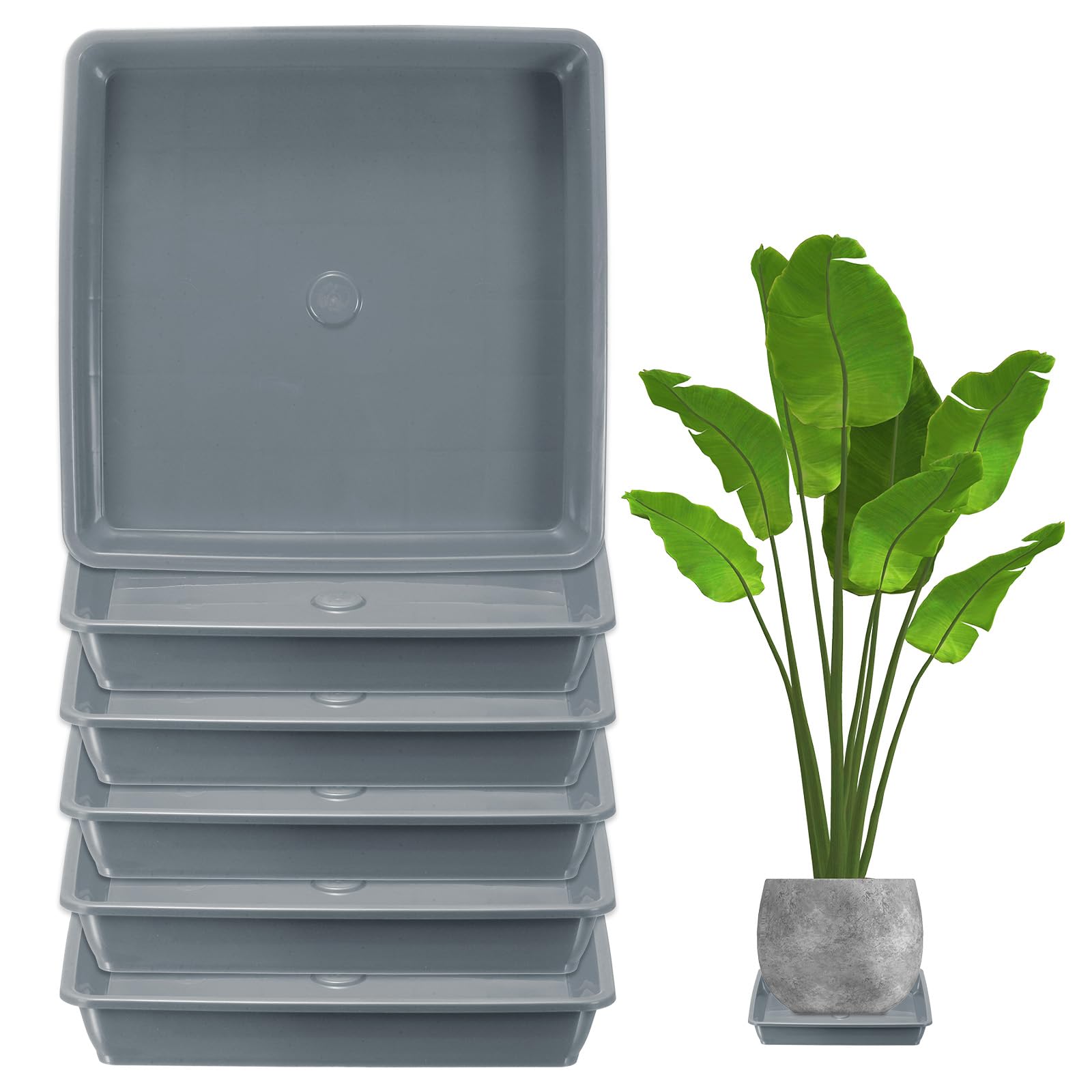 M METERXITY 6-Pack Plant Pot Saucers, 6 Inch 15cm Plastic Square Flower Drip Tray, Pot No Holes Durable Plant Trays for Pots Base Indoors/Outdoors Plants [Cement Gray]