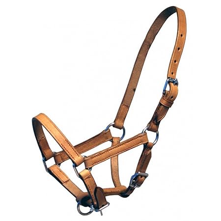 QHP Lederhalfter Halfter Fohlen Chico beige + schwarz