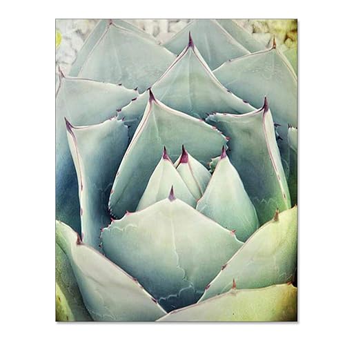 Amazon Com Green Cactus Photograph Desert Nature Wall Decor For Your Bathroom Or Office 8x10 Inch Print Handmade