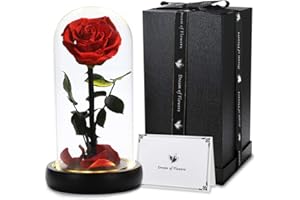 DREAM OF FLOWERS Valentines Gifts for Her,Beauty and The Beast Rose,Preserved Roses in Glass Dome with Lights,Forever Flower Roses Gifts for Wife Girlfriend,Birthday Gifts for Women Mom Best Friend