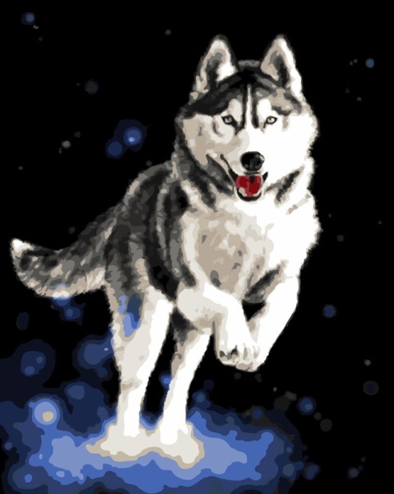 WOWDECOR Paint by Numbers Kits, Number Painting - Husky Dog 16x20 inch (Frameless)