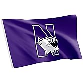 Desert Cactus Northwestern University NU Flag - 3 x 5 Feet Wildcats Banner, Indoor/Outdoor Durable Fabric, 100% Polyester Design (Style 5)