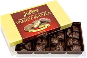 HALL'S CANDIES Hall's Dark Chocolate Covered Peanut Brittle, 1 Pound