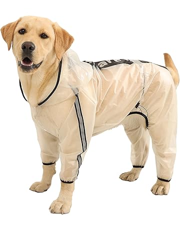 biodegradable cat litter liners