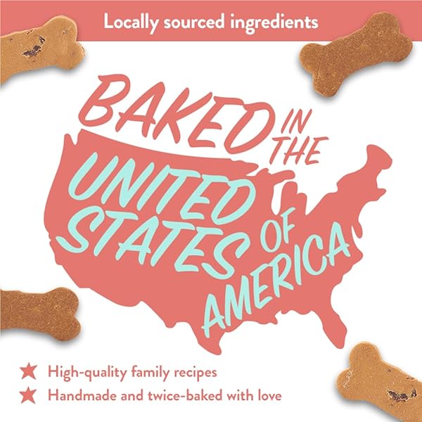 PORTLAND PET FOOD COMPANY PUMPKIN DOG TREATS HEALTHY BISCUITS FOR SMALL MEDIUM & LARGE DOGS – GRAIN-FREE, HUMAN-GRADE, ALL NATURAL COOKIES, SNACKS & PUPPY TRAINING TREATS – MADE IN THE USA – 5 OZ
