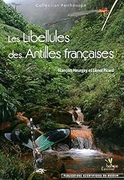 Les  libellules des Antilles françaises