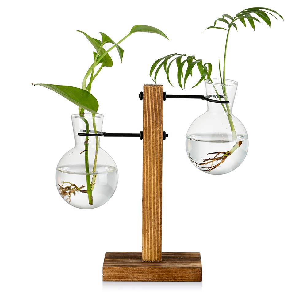 Propagation Station With Wooden Rack 2 Bulb Vintage Avocado Vase Glass Test Tube Vases for Flowers Acorn Plant for Home Table Desk Indoor Decor