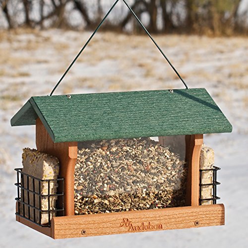 Audubon Going Green Recycled Plastic Ranch Bird Feeder with Suet Holder