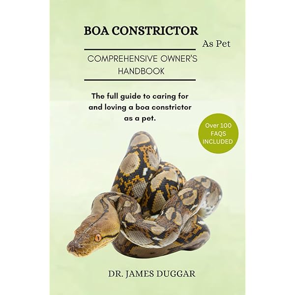 The More Complete Boa Constrictor: Vincent Russo: 9781938850295