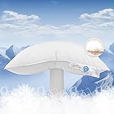 Shilucheng Canadian Goose Down Pillows Queen Size Set of 1, 900+ Fill Power Side Sleeper Pillow for Sleeping Neck Pain Relief,100% Cotton Shell 600 Thread Count Hotel Quality Pillows（White,20" x 30"）
