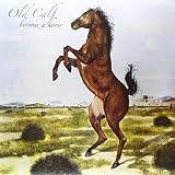 BORROW A HORSE                                     image