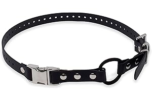 Educator Quick Snap Bungee Dog Collar, Biothane, Waterproof, Odorproof, Easy Connect and Disconnect Clasp and D Ring with Comfort Bungee Loop, Adjustable for Custom Fit, 3/4-Inch, Black