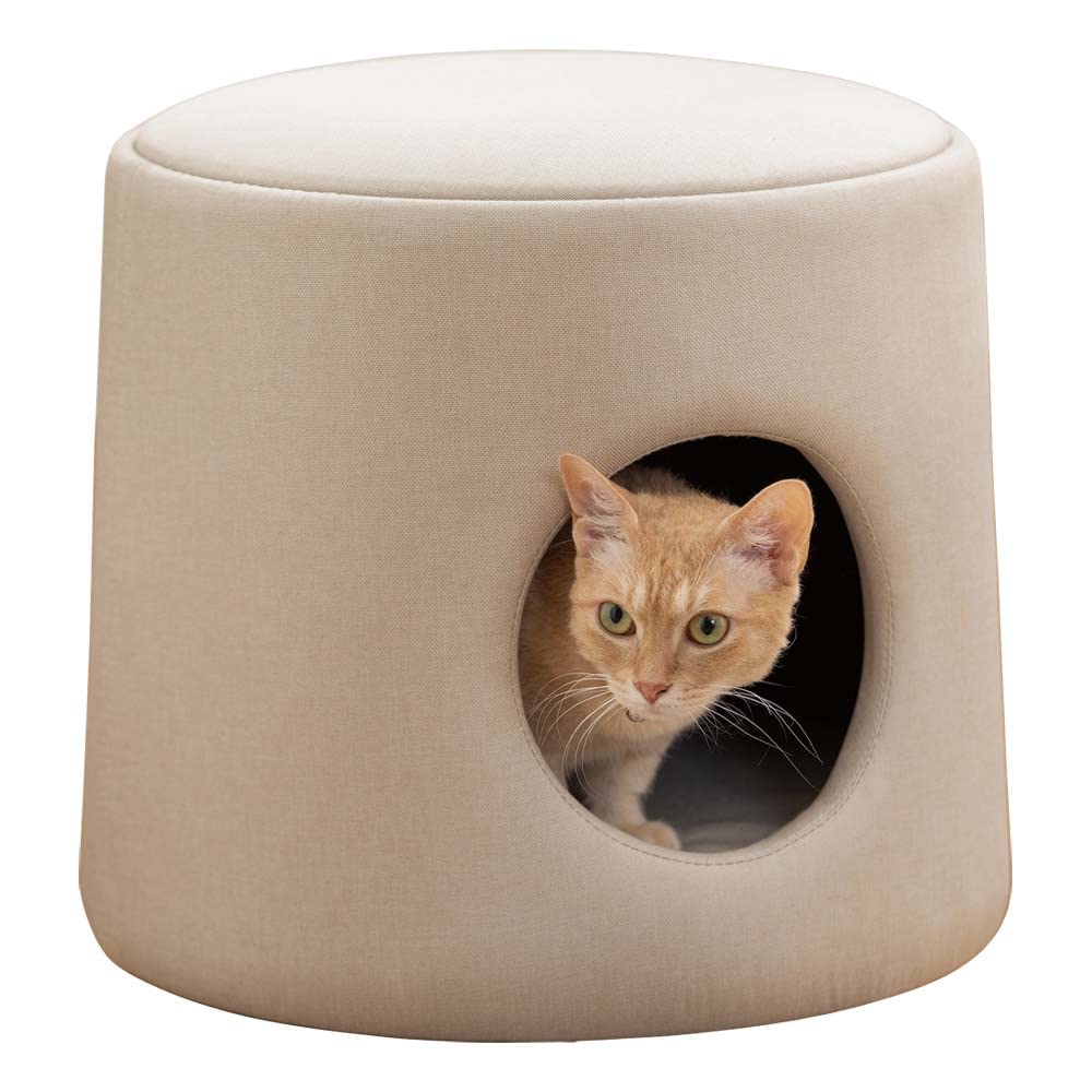 アイリスオーヤマ 犬 猫 ハウス プライウッドペットハウス PW-PH44 ナチュラル商品画像