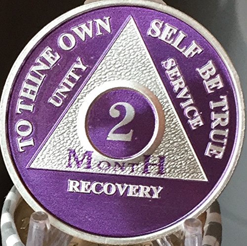 2 Month Purple Silver Plated AA Medallion 60 Day Chip