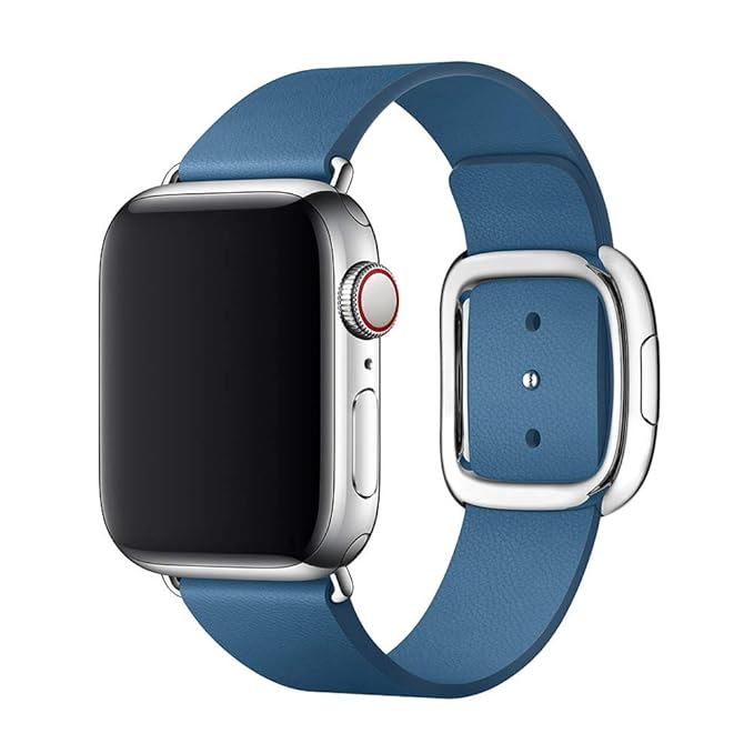 apple watch band cape cod blue