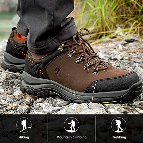 camel crown hiking shoes