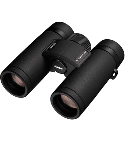 Amazon.com: GPO German Precision Optics Passion ED 8x32mm Schmidt