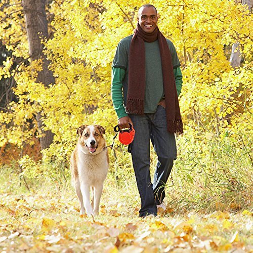 Retractable Dog Leash, FuPany Dog Walking Leash 26ft for Medium Large Dogs Up to 88lbs with Anti-Slip Handle (Red)