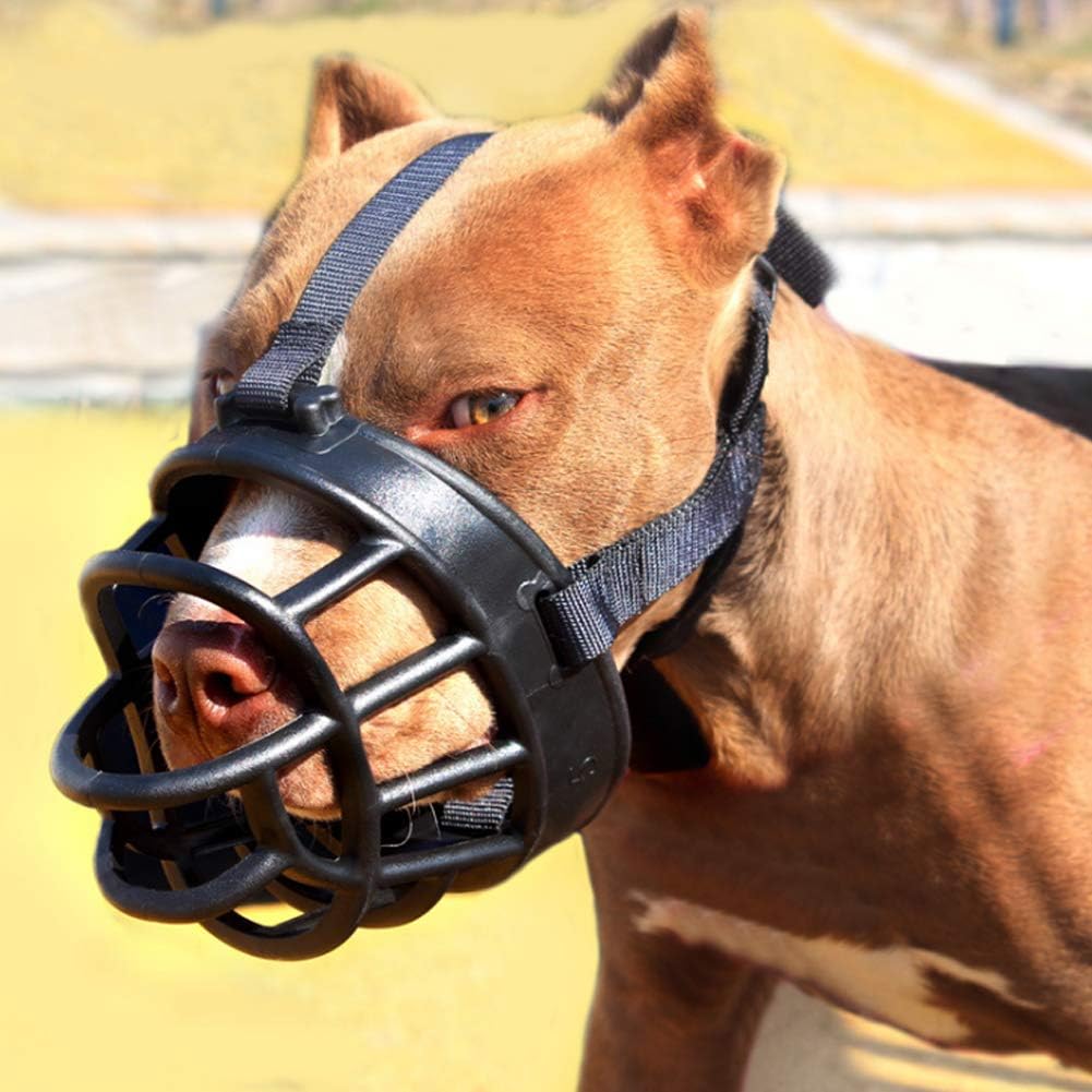 dog muzzle that allows eating