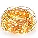 Kohree 60 Micro LEDs Chtistmas String Light AA Battery Powered on 10ft Long Ultra Thin String Copper Wire, Decor Rope Light with Timer and Battery Box for Weddings, Garden, Patio, Tree, Party, Xmas