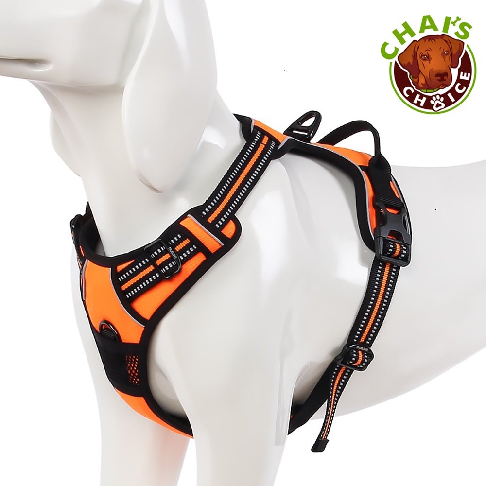 Best No Pull Dog Harness 2018 Double Check With Your Current One! - NolongerWild