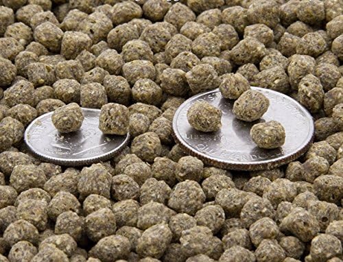 Mazuri Koi Pond Nuggets, An Extruded, Floating, Complete Diet Designed For Koi and Large Goldfish Greater Than 6 Inches Long In Ponds, Tanks and Aquariums, 1 Pound