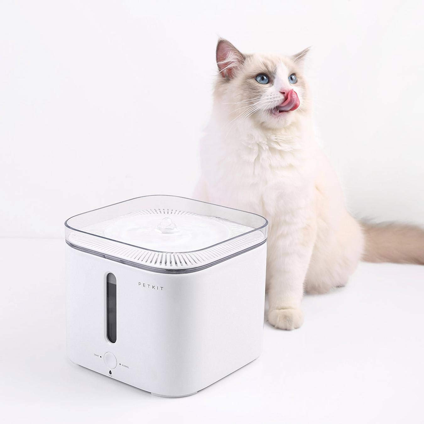 petkit fountain waterer
