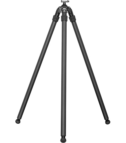 Amazon.com : SUNWAYFOTO T16C20N II Heavy Duty Lightweight