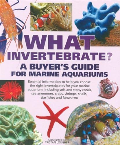 Download What Invertebrate? PDF