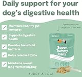 Buddy & Lola Super Pooper Bundle 100% Natural Pumpkin Powder Probiotics view 3