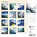 Surfing 2017 Wall Calendar