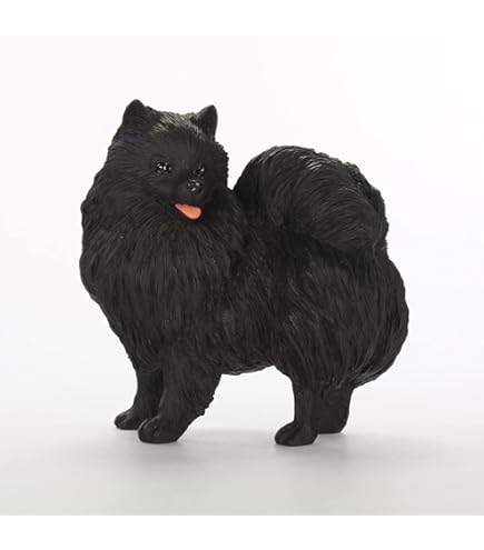 Amazon.com: Sandicast Orange Pomeranian Sculpture, Crouching