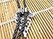 Lychee Carved Hollow Wolf Head Bolo Bola Tie Necktie Western Cowboy Rodeo Necklace