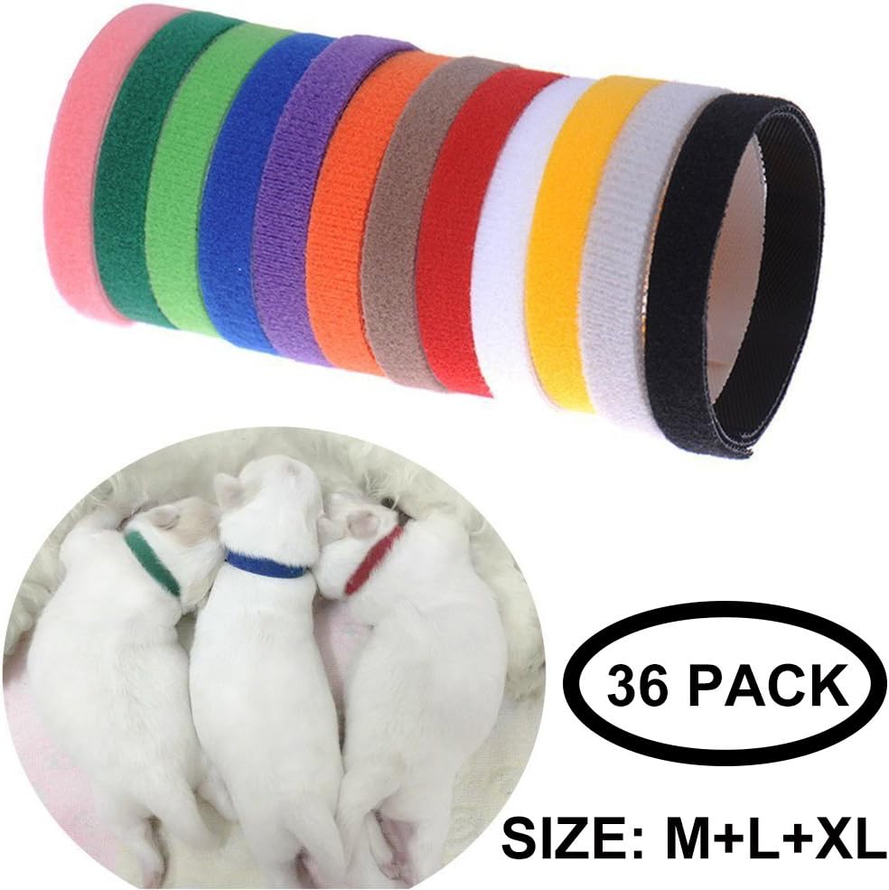 good food for older dogs