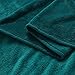 Exclusivo Mezcla Fleece Blanket for Bed, Super Soft and Warm Teal Queen Blankets, All Season Use, Cozy, Plush, Lightweight, 90x90 inches