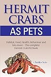 Hermit Crab