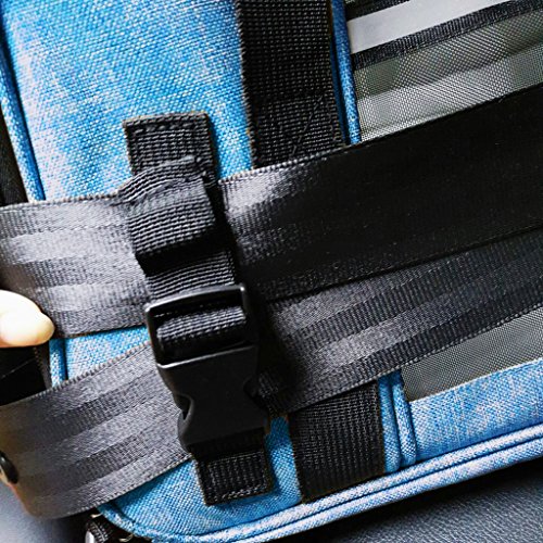 Mr. Peanut's Airline Approved Soft Sided Pet Carrier by, Two-Tone Luxury Travel Tote with Fleece Bedding, New Design, Under Seat Compatibility, Perfect for Cats and Small Dogs (Deja Blue)