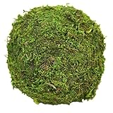 Koyal 12-Pack Green Moss Balls, 4-Inch