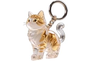 realideas Transparent Domestic Shorthair Cat Hair Keepsake Keychain Charm - Orange Tabby Cat Pet Hair Memorial Storage Box, D