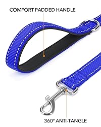 Taglory Dog Leash for Small Dogs, Double-Sided