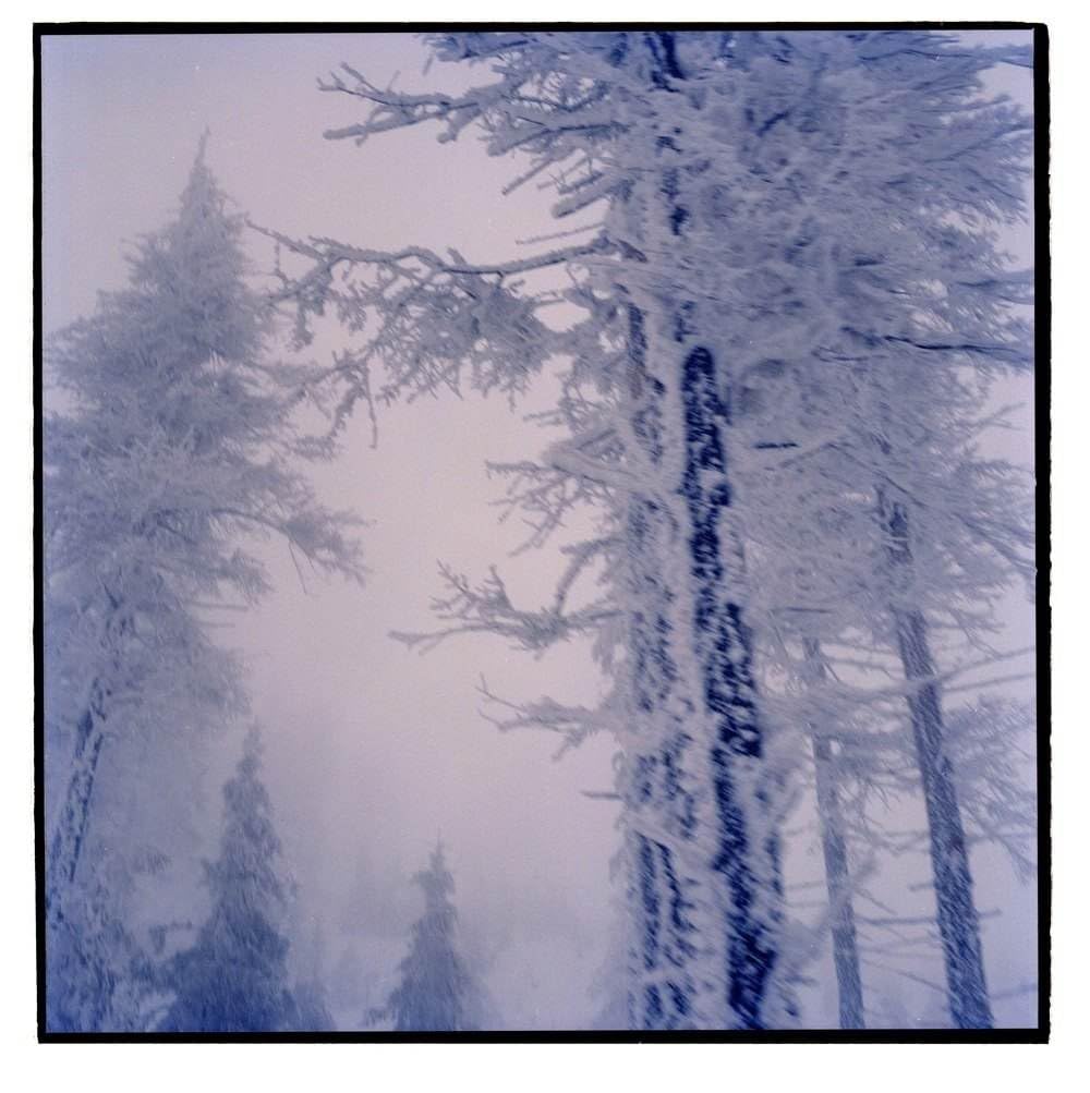 Voice of Source ' Eject series' framed photographs by Iulia Filipovscaia a contemporary artist founder of Voice of Source home decoration artwork photograph interior piece (1)