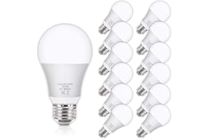 Yochoice 12Pack A19 LED Light Bulbs 100 Watt Equivalent 5000K Daylight White, No Flicker E26 Medium Screw Base Bulbs, 1100Lumens, Non Dimmable