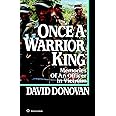 Once a Warrior King: Memories of an Officer in Vietnam