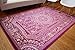 Feraghan/New City Traditional French Floral Wool Persian Area Rug, 2' x 3', Purple Plum