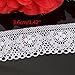 KINGSO 10 Yards Retro White Crochet Scallop Embroidered Lace Trim DIY Craft