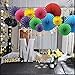Colorful Hanging Paper Fans Decoration Round Pattern Paper Garlands Set for Party Birthday Wedding Events Accessories, Mix Set of 6