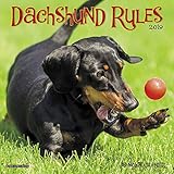 Dachshund Rules Mini 2019 Wall Calendar (Dog Breed Calendar) by 